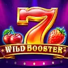 Wild Booster game thumbnail